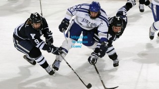 爱游戏下载_英超球迷票选赛季最佳阵容候选，萨拉赫、哈兰德与B费引领热议